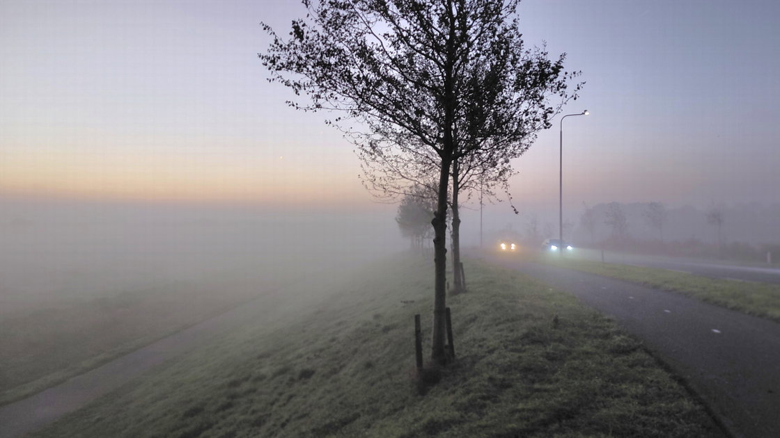 KNMI waarschuwt voor dichte mist: zicht kan dalen tot onder 50 meter