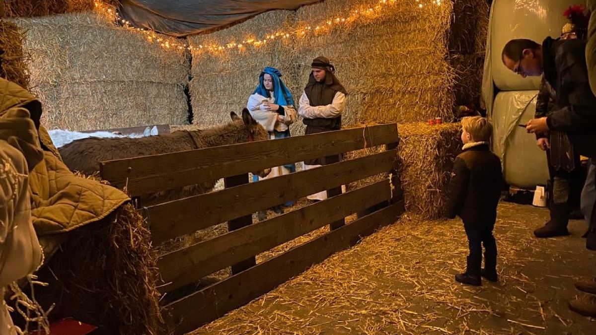 Dit is er in de kerstvakantie te doen in Groningen