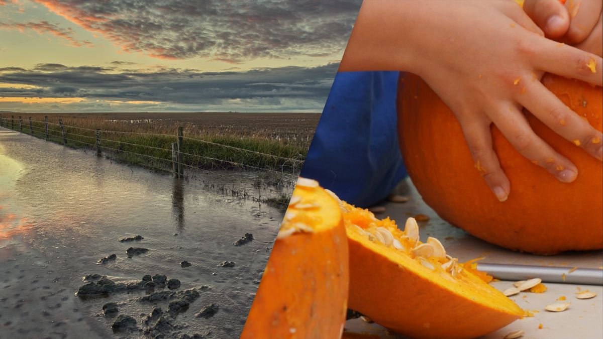 Eropuit dit weekend? Dit is er te doen in Fryslân