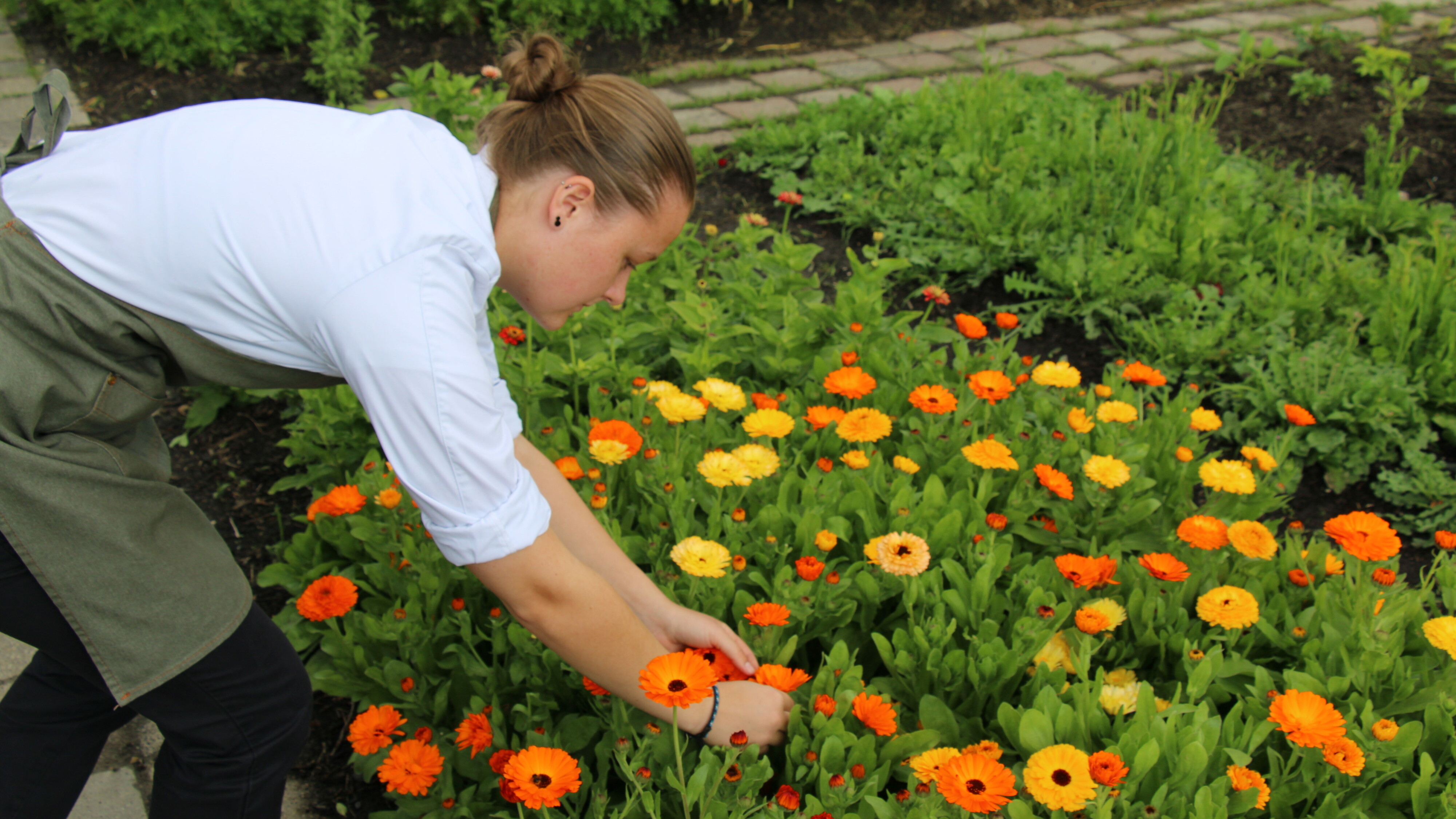Student plukt goudsbloemen voor het gerecht