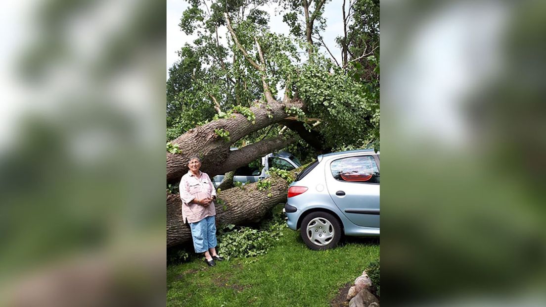 Maggie bij de omgevallen boom, haar auto bleef ongedeerd. (Rechten: Irmgard Luders)