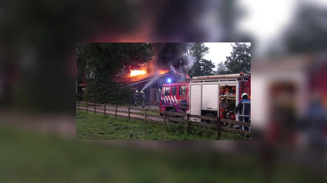 De bisten binne rêden (foto Alex Zwart)
