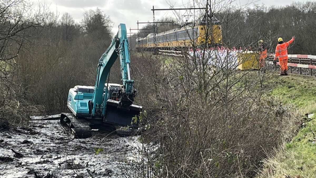 Nieuwe proef bij spoor moet graafdrift van bever stoppen