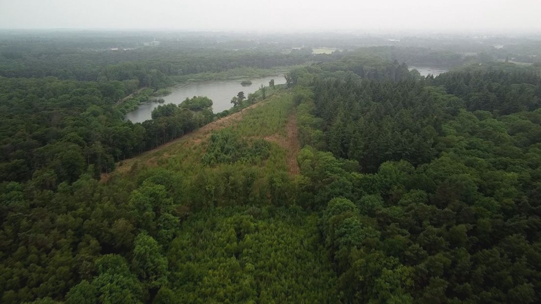Naaldbos verdampt meer water dan loofbos en dat is bij het Lonnekermeer goed te zien