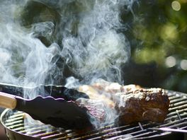 Barbecueverbod en rookvrije terrassen? Geen heilige huisjes in Utrecht als het gaat om schone lucht