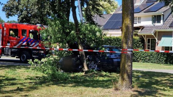 Auto botst tegen boom
