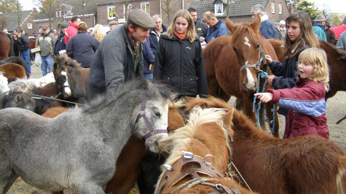Paardenmarkt Lottum tot nu toe rustig