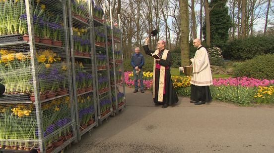 Gezegende bloemen onderweg naar Rome