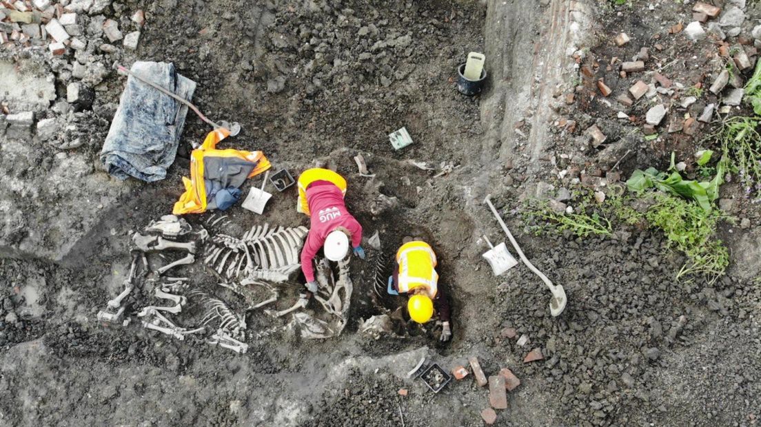 André Pleszynski en zijn collega's hebben dierenbotten blootgelegd bij een opgraving in Bedum