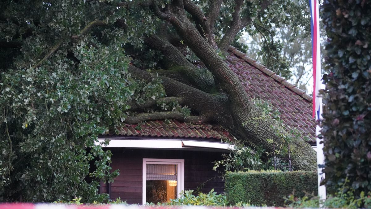 'Code oranje' raast over Overijssel: bomen op daken, brandweer druk met geblokkeerde wegen