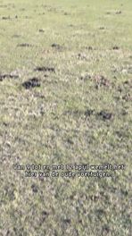 Liberty Tour keert nu al terug