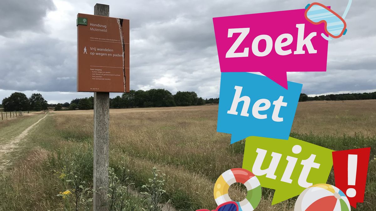 Waar komt de naam voor Het Molenveld in Exloo vandaan?