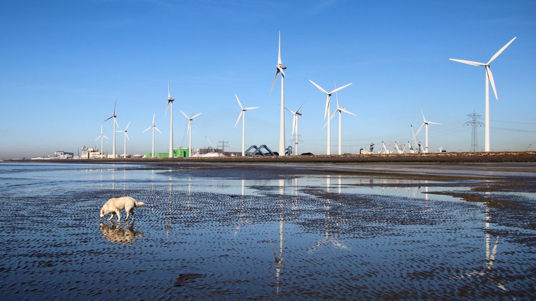 Windmolens bij de Kaloot