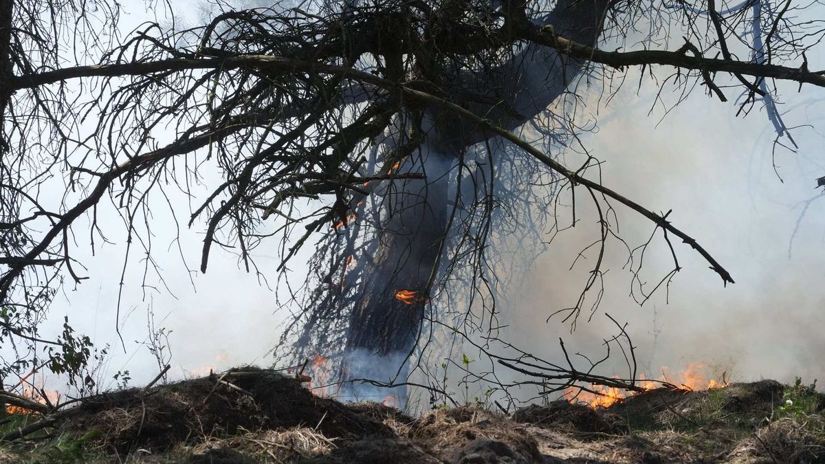 Azc Budel ontruimd vanwege natuurbrand Weert