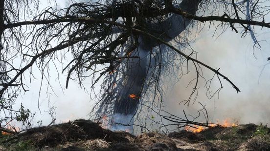 Militaire oefeningen op Weerterheide weer gestart na natuurbrand Nieuws