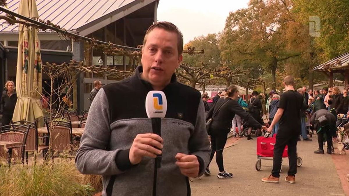 Deelnemers mopshondentreffen in Belfeld balen van discussie: 'Mijn honden lijden niet