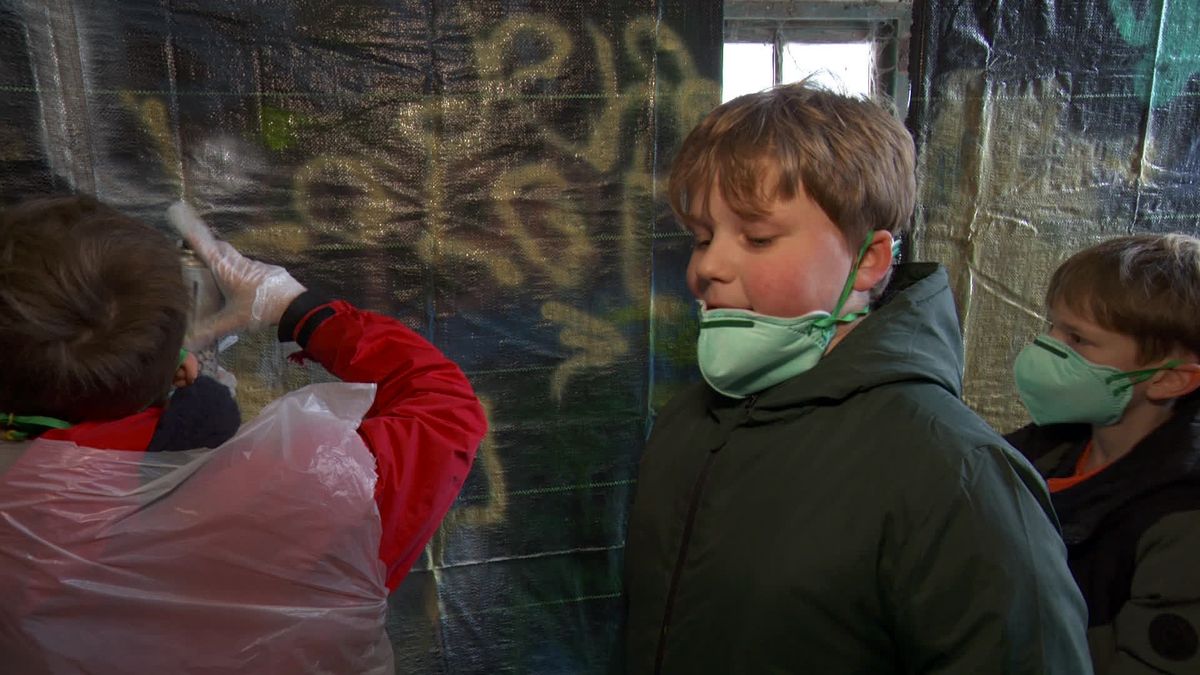 Bern mei en sûnder in beheining mei-inoar yn 't spier yn Beetstersweach