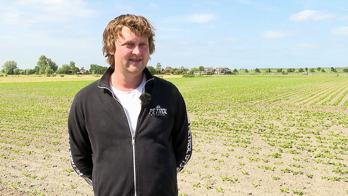 Sombere toekomst voor boeren op Schouwen-Duiveland door tekort aan zoet water