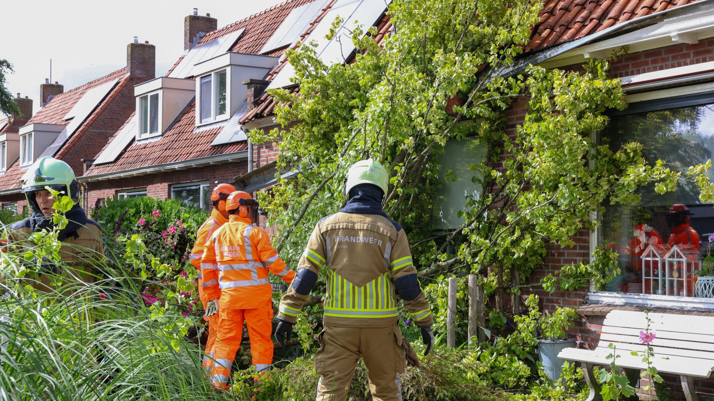 Harde wind zorgde voor problemen in Fryslân: omgewaaide bomen en afgelaste evenementen