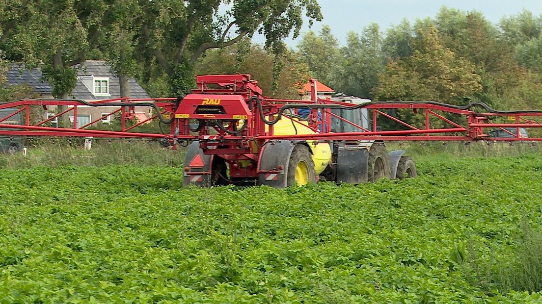 Nieuwe aardappel maakt telers hoopvol