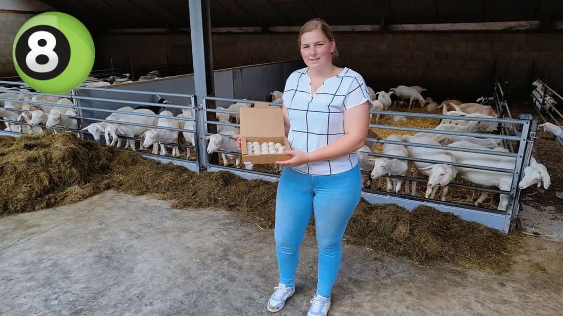 Marèl uit Eibergen wil bokkenvlees promoten met 'de bokbal'