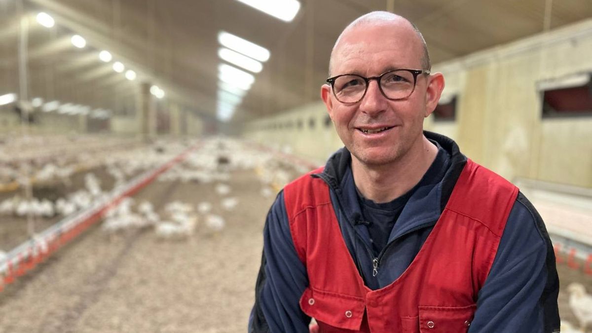 Landbouwdieren moeten een meer dierwaardig leven krijgen, maar dat kan volgens boeren niet altijd
