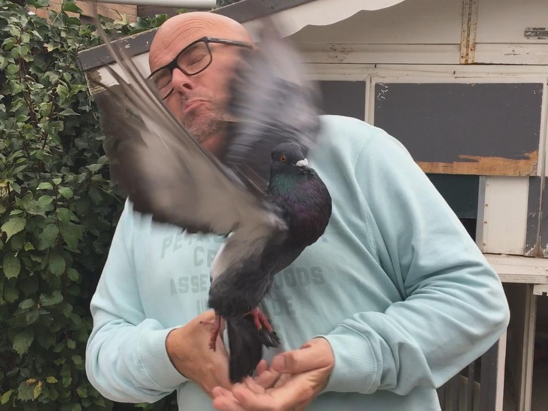 Ed Aldus probeert een vogel te kroelen