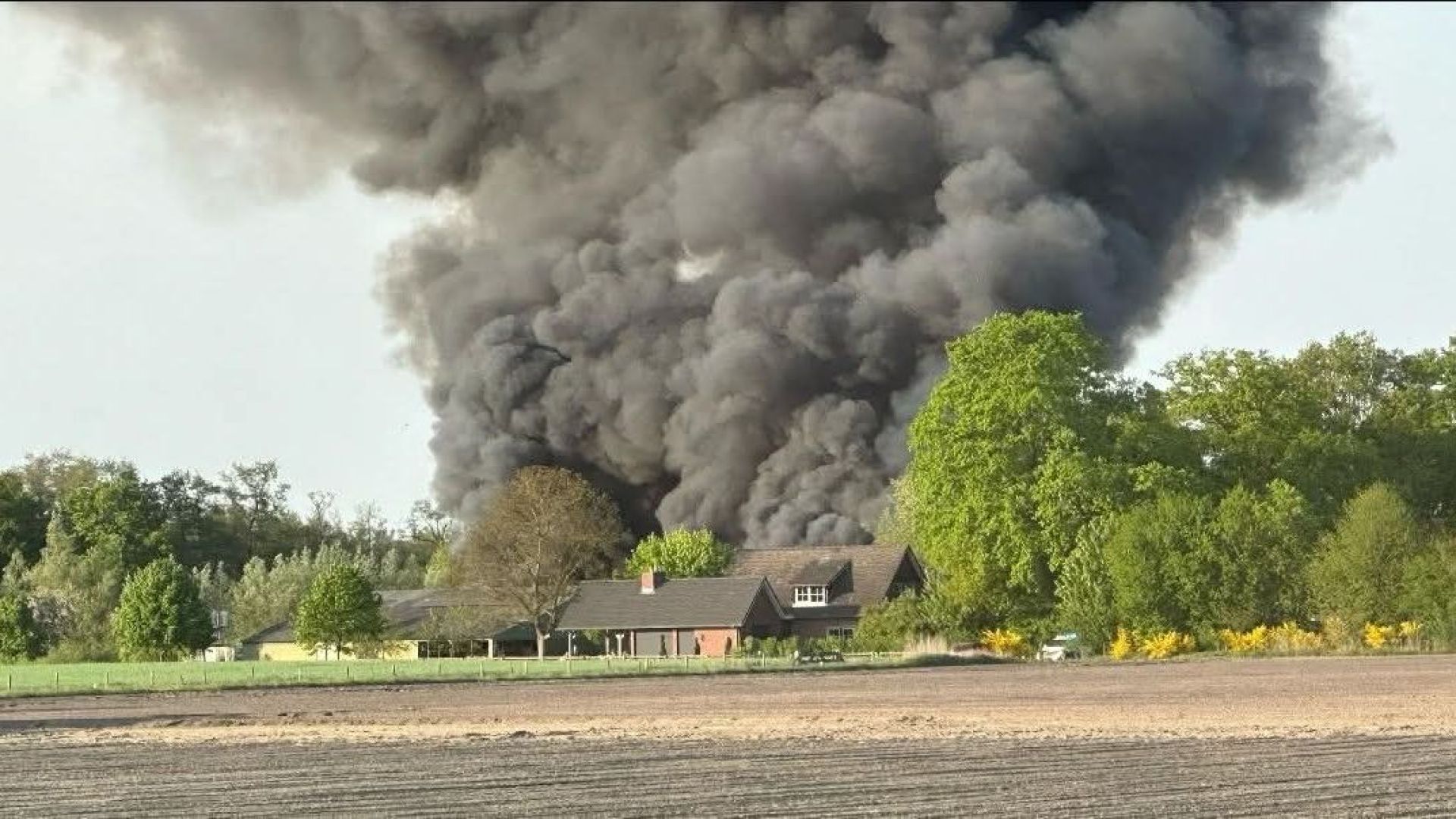 Het agrarische bedrijf ligt aan de rand van het Korenburgerveen.