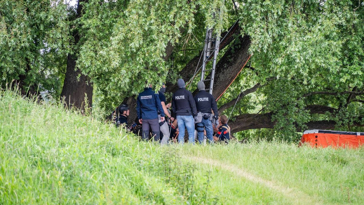 Man van 10 meter hoogte uit boom gehaald