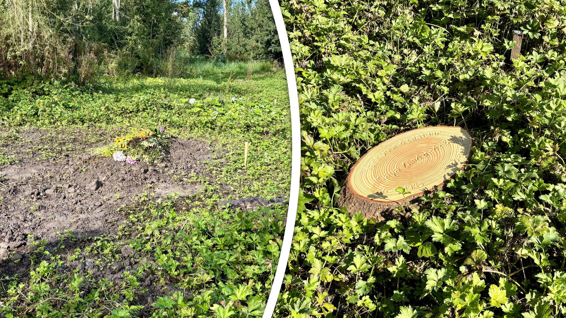 In de eerste weken mogen er bloemen liggen, daarna kunnen nabestaanden kiezen voor een boomschijf op het graf