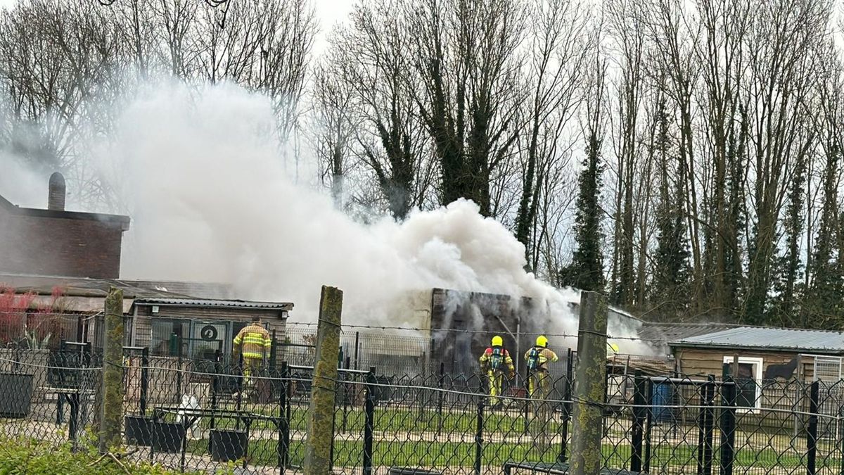 Veel rook: landbouwvoertuig in brand in Eckelrade