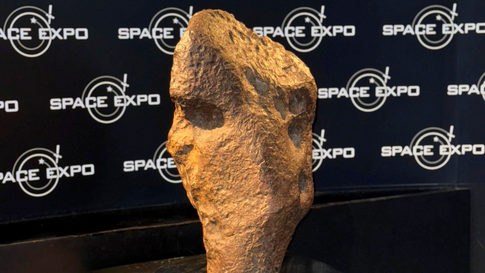 De Gibeon-meteoriet.