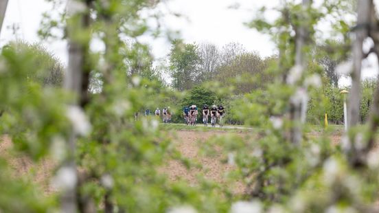 Prachtige plaatjes: de toerversie van de Amstel Gold Race in beeld Nieuws