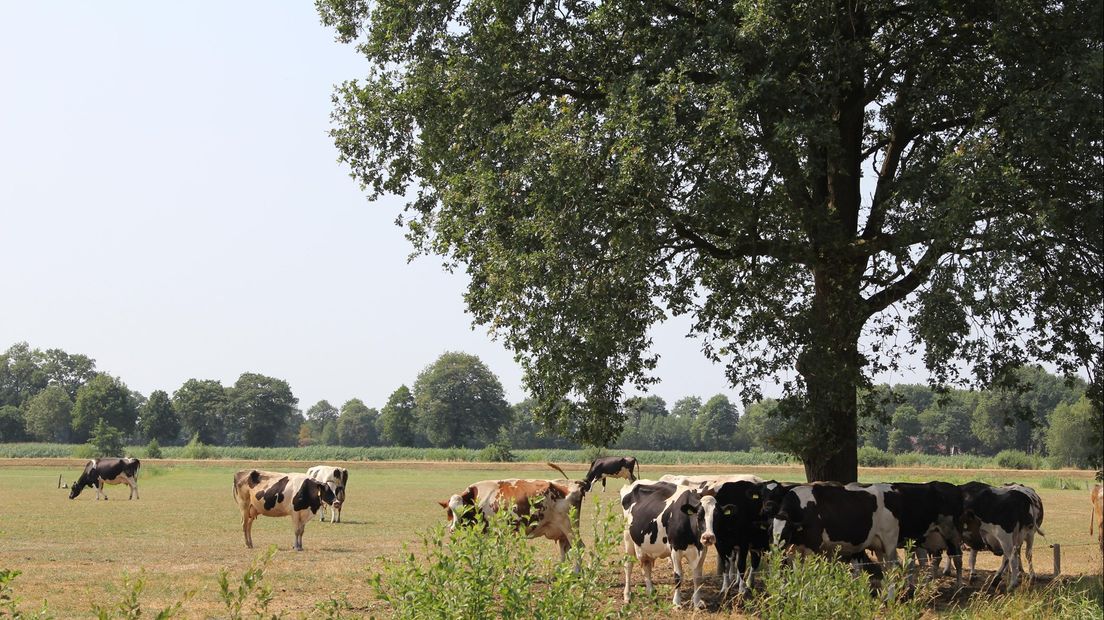 Grondwateronttrekkingsverbod voor Twente en delen van Salland