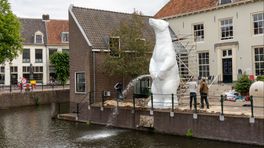 'Pissende ijsbeer' komt naar Groningen