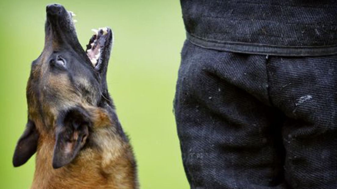 Herdershond bijt klein hondje dood