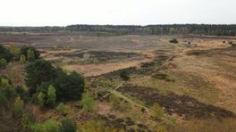 Graancirkels op de hei? Mysterieuze patronen op het Molenveld bij Exloo