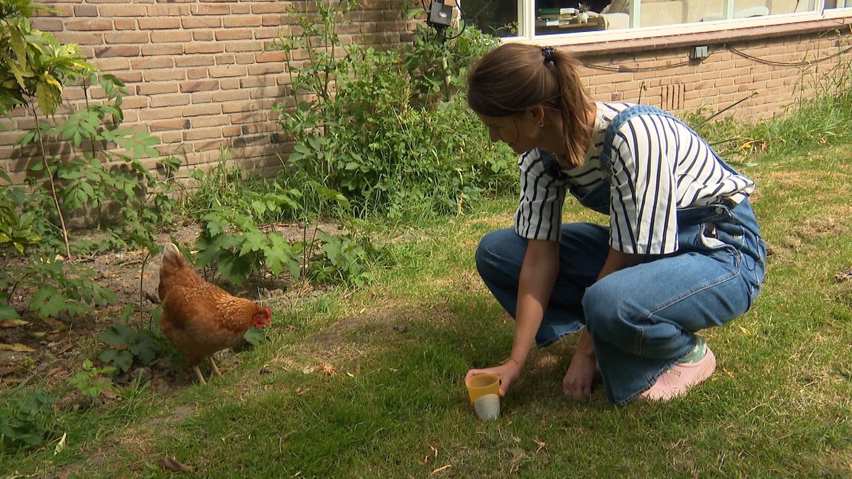 Veerle liet haar eieren testen op PFAS: 'De uitslag stelde me niet gerust'