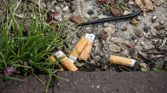 Utrecht wil dat tabaksindustrie rekening betaalt van sigarettenpeuken Home