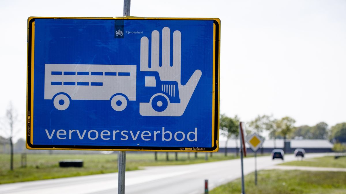 Vogelgriep vastgesteld bij bedrijf in Gasselternijveenschemond