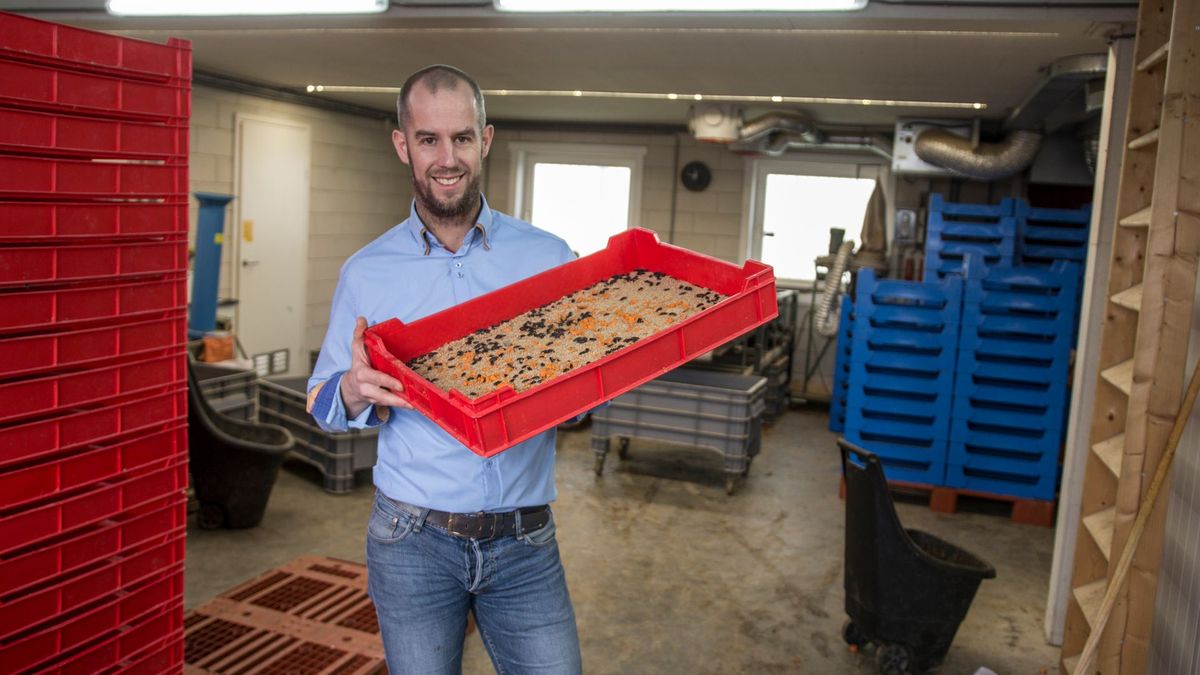 Wadudu uit Beilen en ATB uit Wapserveen strijden om innovatieprijs