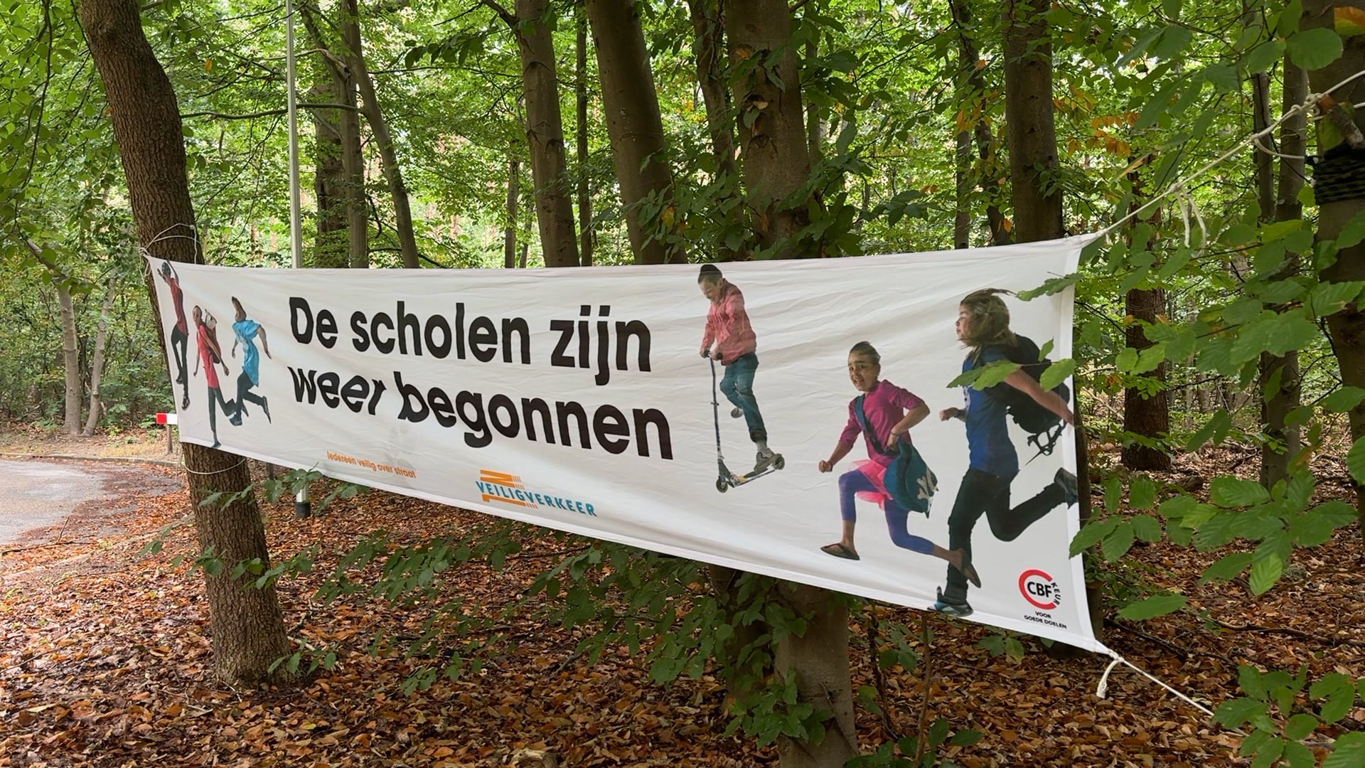 Kinderen in wolvengebied voor het eerst weer naar school na bijtincident: 'Het blijft een roofdier'