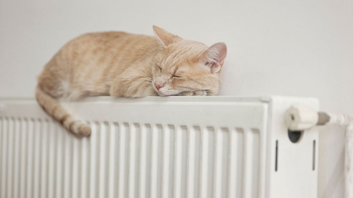 Verwarming moet uit in Ubach over Worms vanwege gaslek