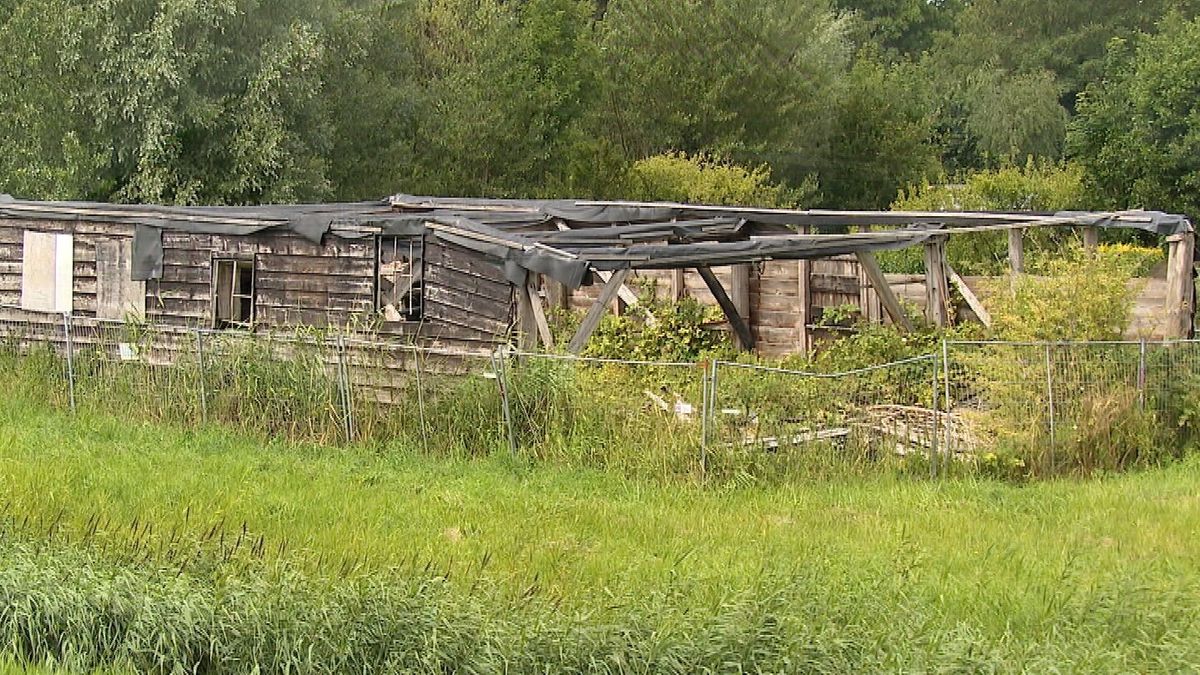 Gemeente eist historische Napoleonschuur in Scharendijke terug