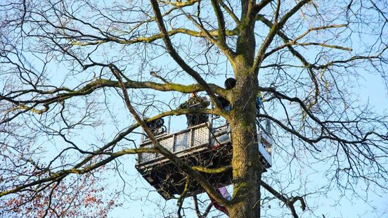Flint vast op 10 meter hoogte, hulpdiensten grijpen in