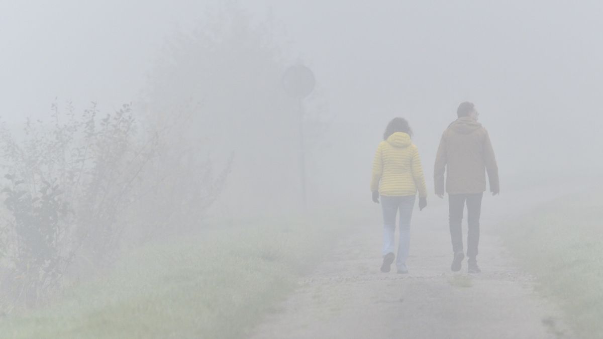 Opnieuw code geel in Drenthe door dichte mist RTV Drenthe