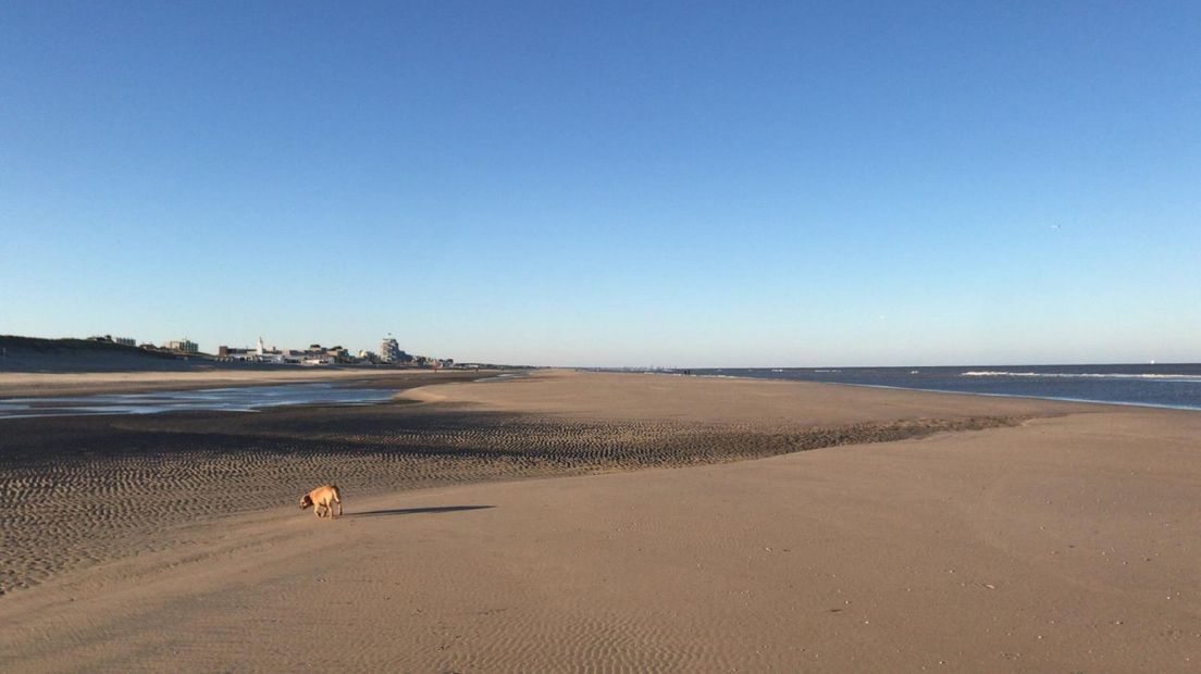 Vrijwel leeg strand