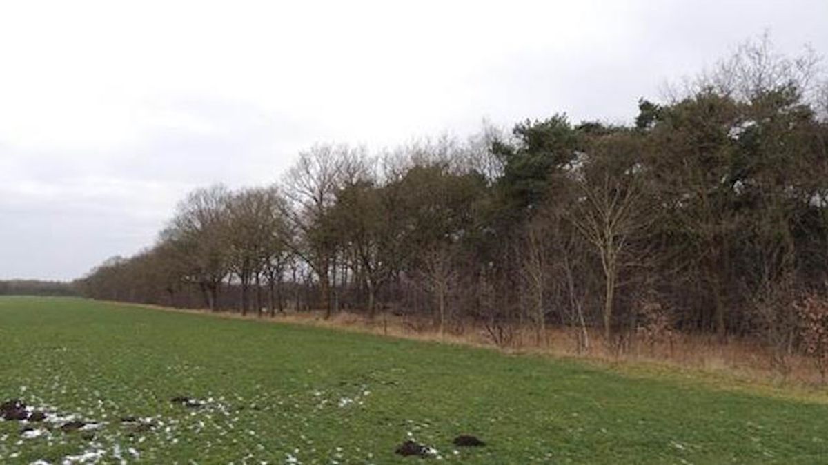 Partij voor de Dieren in bezit van natuur bij Daarle