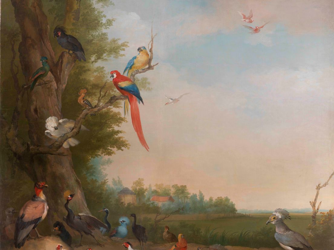 Aert Schouman, De menagerie van Prins Willem V, behangsel met vogels, Koninklijke Verzamelingen, Den Haag/Staat der Nederlanden