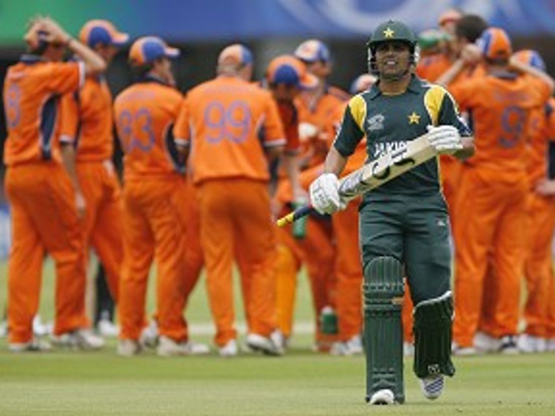 cricket.jpg